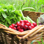 panier2-amap-92100