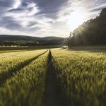 agriculture-bio-planete-2050